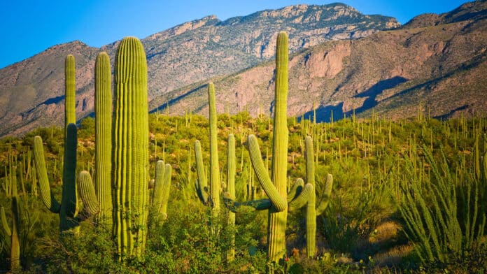 Faut-il un visa pour voyager au Mexique ?